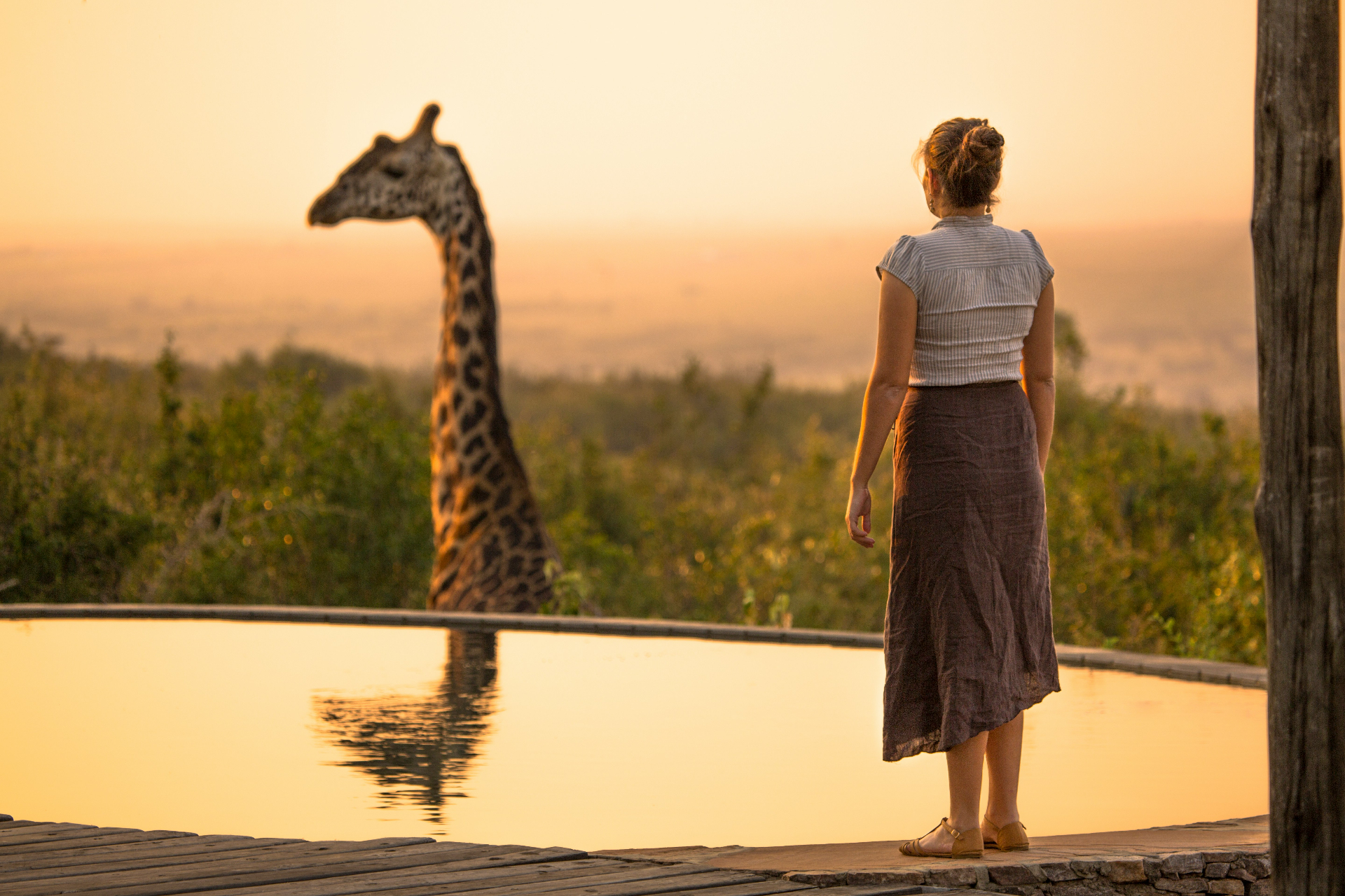 Voyageuse au bord d'une piscine à débordement face à une girafe au coucher du soleil